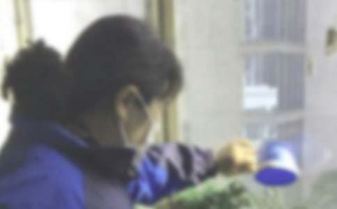 �����š��޹ܲ������ƻ���ƪ