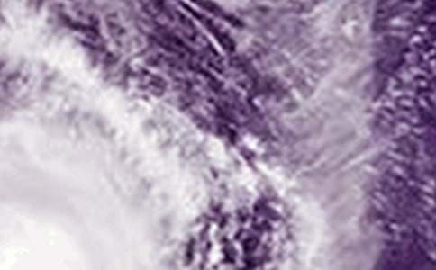 《超强台风》观后感(精选18篇)