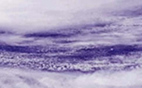 ̨��Сѧ����