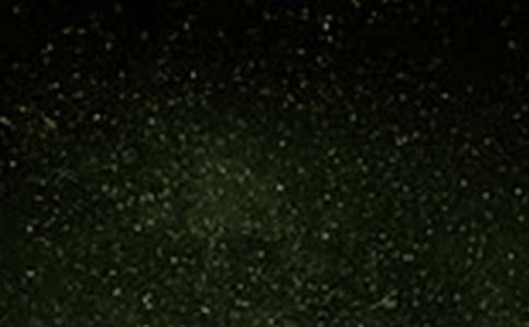 ����ƽ̫���ڿιۺ��