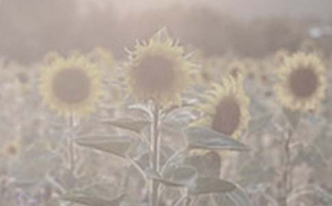 ���Ƽ���̫�����۲��ռ�3ƪ