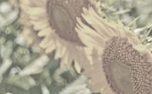 �����̫����Ů�������