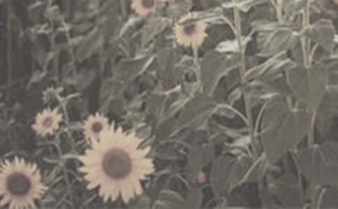 ����һƬ̫��������ѧ��˼