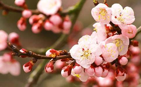 ���������һ��ռ�3ƪ