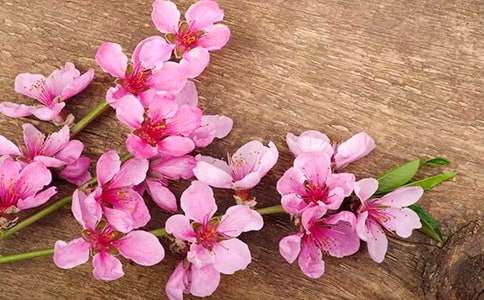 �һ���ľ��ѧ��˼