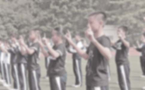 Сѧ������ѧ�ܽ�ģ����ܰ�ƪ