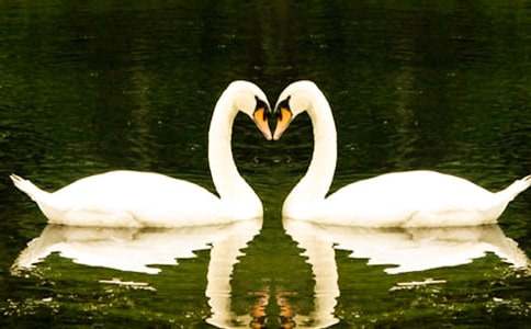 Ұ�������