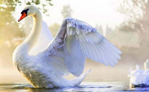 ��С�ŵ��������(�ϼ�15ƪ)