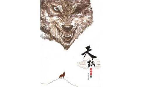 天狼读后感(通用14篇)