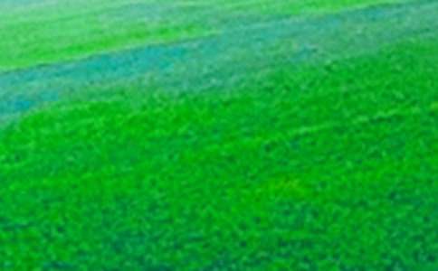 ��������Ұд������