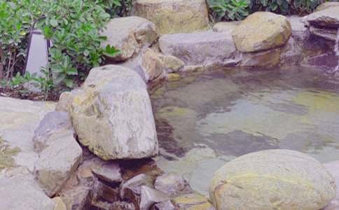 ����Ȫ_���м�����