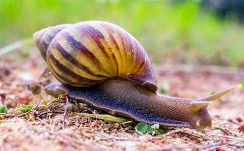 ��ţ�������ѧ��˼