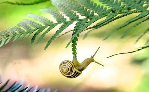 ʵ�õ���ţ�ռ�4ƪ