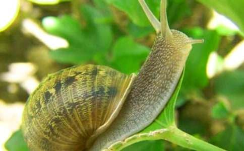 ������ţ�ռǻ���5ƪ