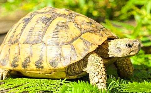 �ڹ�۲��ռǻ��15ƪ