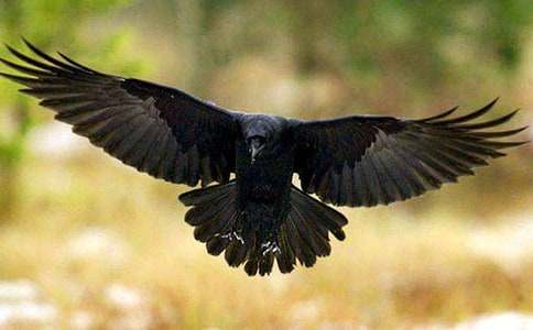 ������ѻ���ھӡ������