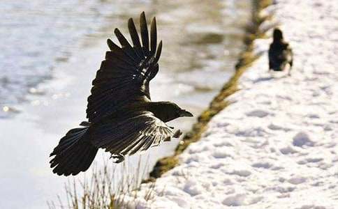 ����������ѻ��ˮ����ѧ��˼