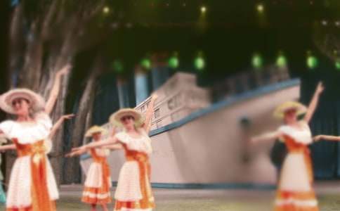 �赸��ѧ�ļƻ�