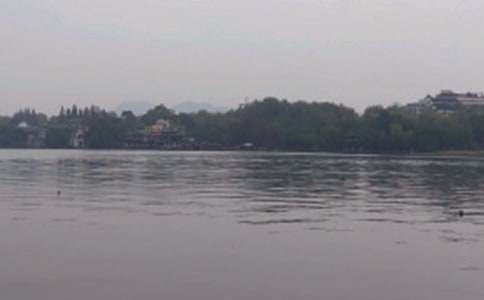 ����д�����Ļ��10ƪ