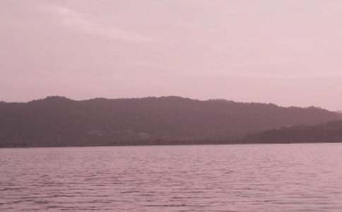 �й�����д������300�ֽ���6ƪ