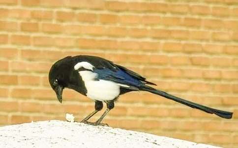 ����ϲȵ��ѧ��˼����ѡ5ƪ��