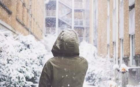 ������ѩ�ռǻ���6ƪ