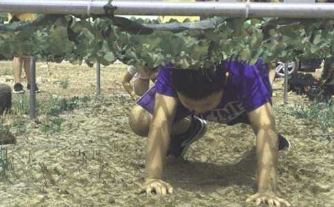 ����Ӫ�ռ�[ͨ��]