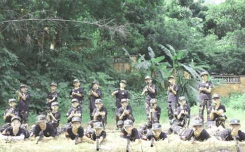 ���¸�����������Ӫ�ĵ���ᣨͨ��5ƪ��