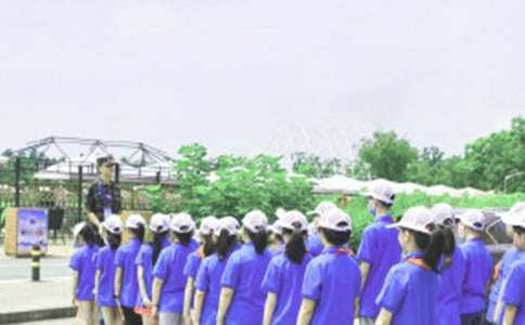 ��ѡ����Ӫ�ռǺϼ���ƪ