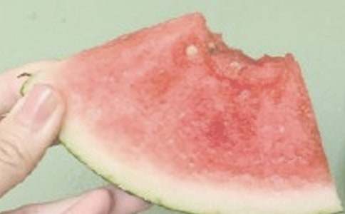 ����д������