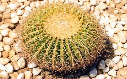 �����������ռǼ���8ƪ