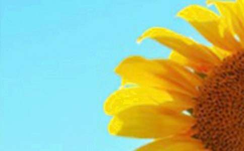 《遥远的向日葵地》读后感5篇