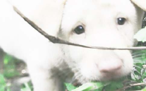 �Ҽҵ�С��_Сѧ����