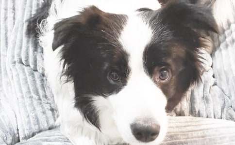 С���۲��ռ�