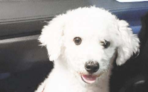 �Ҽҵ�С���ռ�3ƪ