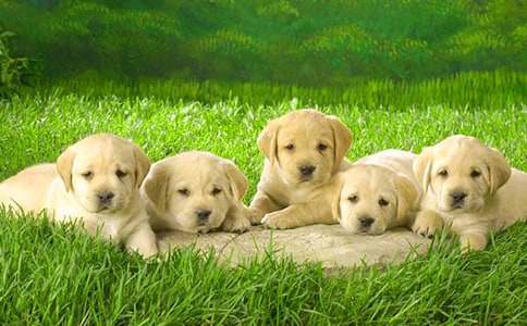 С�����ռ�Сѧ����