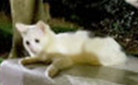 СèСѧ���ľ�ѡ10ƪ