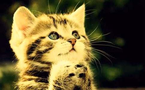 ����Сè�۲��ռ�ģ�������ƪ