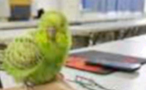 ��ŭ��С��ۺ��