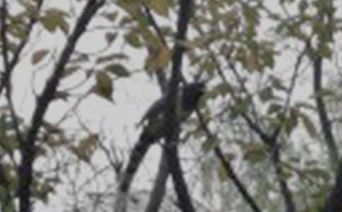 ����С����ռǣ���ѡ28ƪ��