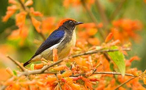 ̰���С���ռ�