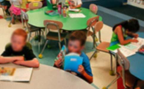 ���ر���Сѧ���ܼǺϼ���ƪ