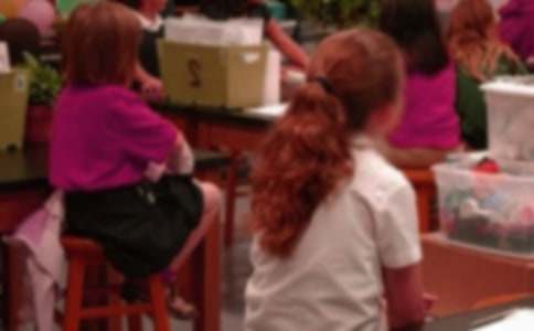 ���Ƽ���Сѧ��д�����ĺϼ�ʮƪ