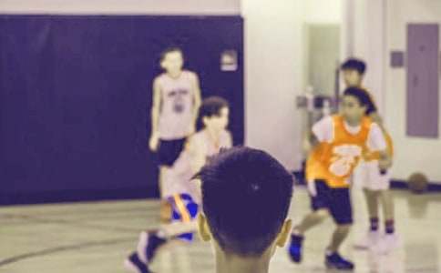 ��ѡСѧ����ӥ׽С�����İ�ƪ