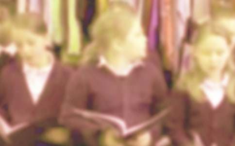 ����ѡ��Сѧ��д�����ĺϼ���ƪ