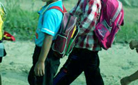 实用的小学生周记汇编五篇