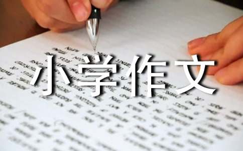 ��������Сѧ���ġ�����