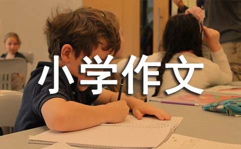 һ֧�ֱʳ�����Сѧ����