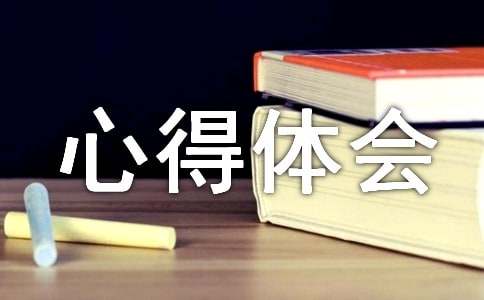 关于小学心得体会作文集合5篇