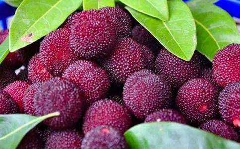 �Ұ��������÷˵�θ�